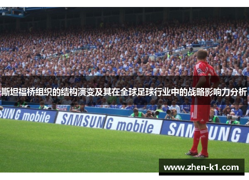 斯坦福桥组织的结构演变及其在全球足球行业中的战略影响力分析 斯坦福桥组织的结构演变及其在全球足球行业中的战略影响力分析