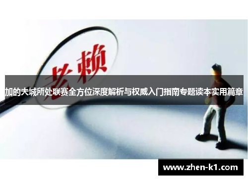 加的夫城所处联赛全方位深度解析与权威入门指南专题读本实用篇章