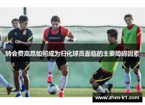转会费高昂如何成为归化球员面临的主要障碍因素