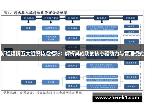 斯坦福桥五大组织特点揭秘:解析其成功的核心驱动力与管理模式 斯坦福桥五大组织特点揭秘:解析其成功的核心驱动力与管理模式
