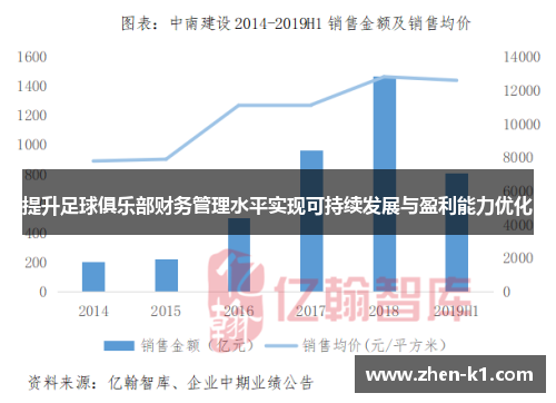 提升足球俱乐部财务管理水平实现可持续发展与盈利能力优化