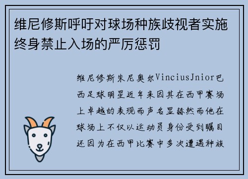 维尼修斯呼吁对球场种族歧视者实施终身禁止入场的严厉惩罚